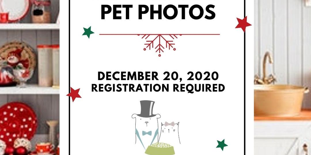 46a399284b33-PAWSNICKETY_HOLIDAY_PET_PHOTOS_IG